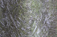 Low Prudhoe fibreglass roof work