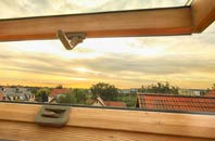 rated Low Prudhoe roof window companies